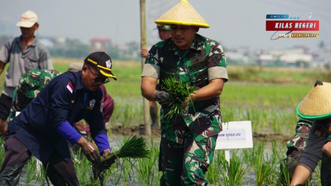 
Kolonel Inf Dony Gredinand, Dandim 0502/JU Pimpin Acara Gerakan Tanam Padi Serentak Gapoktan Rorotan JayaDalam Rangka Pendampingan Ketahanan Pangan Kodim 0502/JU Tahun 2025