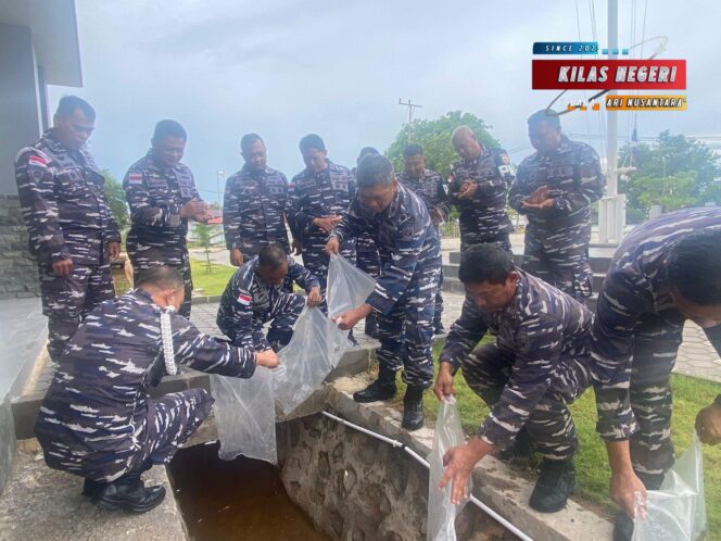 
Danlanal Bintan Tabur Bibit Ikan Nila Untuk Mengurangi Pertumbuhan Jentik Nyamuk di Lingkungan Sekitar