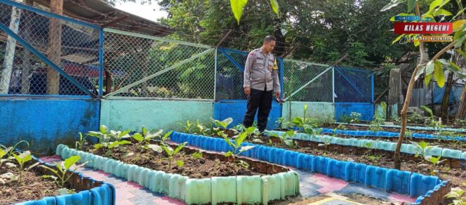 
BHABINKAMTIBMAS PINANG RANTI TINJAU POKTAN KETAHANAN PANGAN, DUKUNG PROGRAM ASTA CITA DI JAKARTA TIMUR