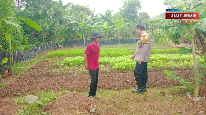 
Bhabinkamtibmas Cakung Timur Dukung Ketahanan Pangan Melalui Pembinaan Pekarangan Bergizi