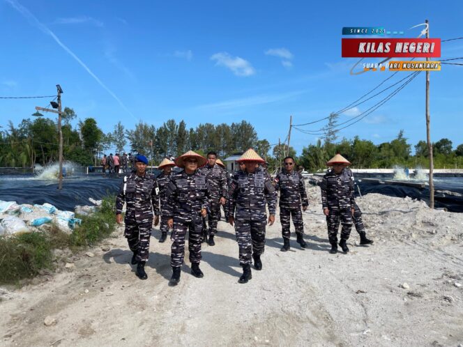 
Wujud Dukung Program Ketahanan Pangan Nasional, Lanal Dabo Singkep Panen Udang Vaname