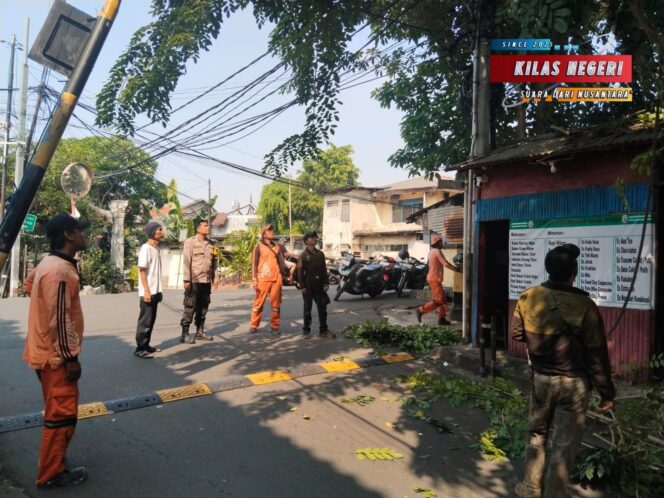 
Cegah Pohon Tumbang dan Gangguan Kamtibmas, Bhabinkamtibmas Palmeriam Lakukan Monitoring dan Sosialisasi Bersama Warga