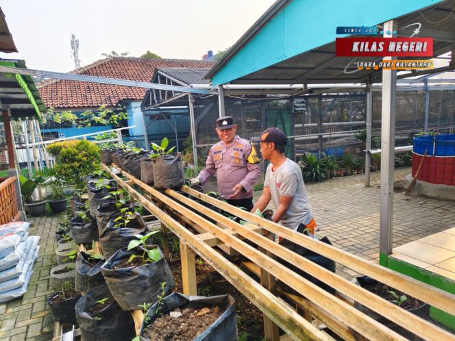 
Bhabinkamtibmas Penggilingan Dukung Ketahanan Pangan Bergizi Lewat Pembinaan Pekarangan Produktif
