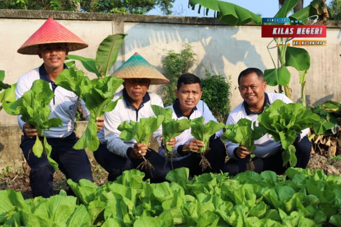
Langkah Strategis Wujudkan Swasembada Pangan, Lanal Dumai Kembali Panen Aneka Sayur Segar di Kebun Ketahanan Pangan