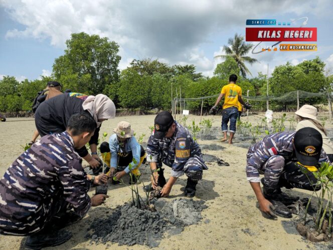
Peduli Keberlangsungan Ekosistem Laut, Lanal Bintan Turut Serta Penanaman 15.000 Bibit Mangrove