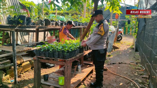 
Bhabinkamtibmas Polsek Makasar Tinjau dan Bina Kelompok Tani Ketahanan Pangan Bergizi