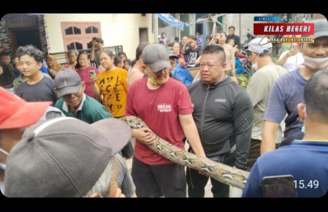 Anggota PPSU Kelurahan Malaka Jaya Telah Mengamankan Ular Piton Di Salah Satu Rumah Warga