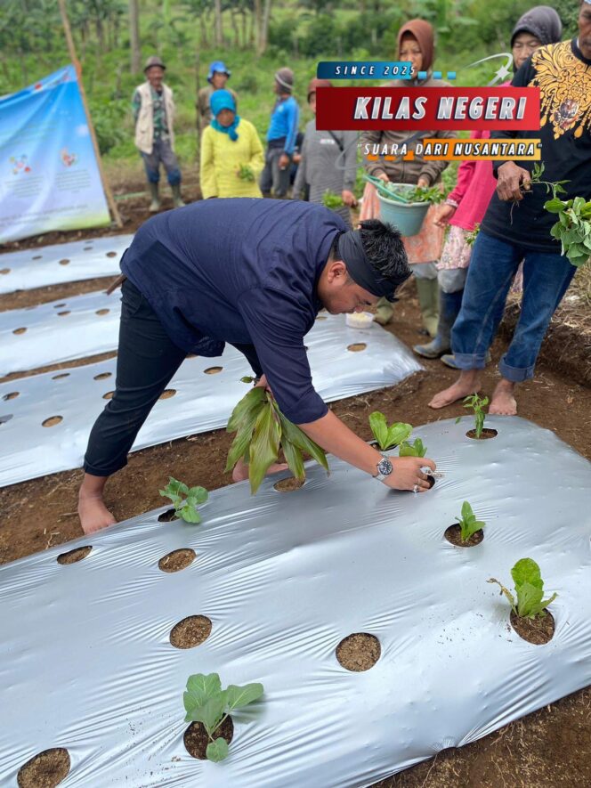 
Implementasi Insun Medal Insun Madangan: Masyarakat Maju, Makmur, dan Sejahtera