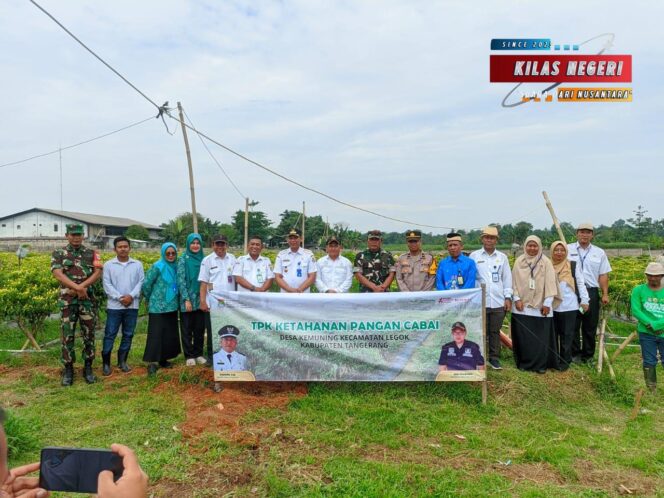 
Danramil Legok dan Muspika Tanam Jagung Bareng Warga, Dukung Ketahanan Pangan