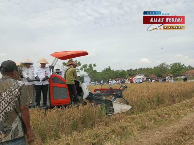 Dorong Produktivitas Pertanian, Babinsa Hadiri GNPIP 2025 Provinsi Banten