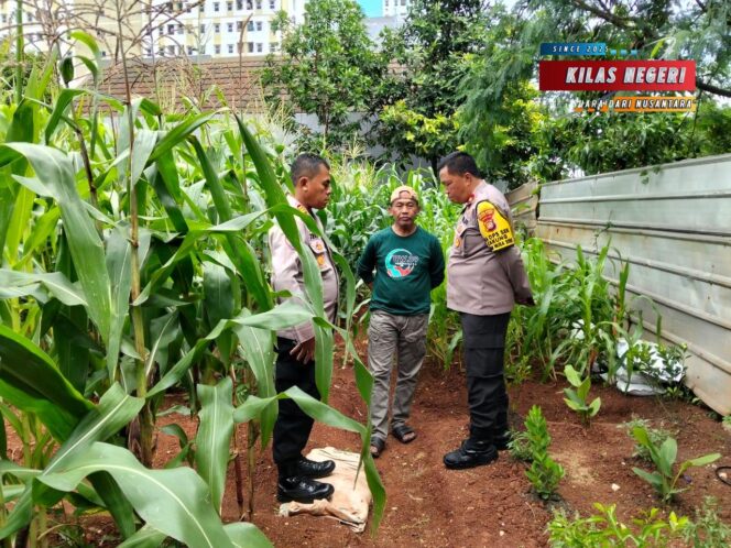 
Kapolsek Cakung Tinjau Ketahanan Pangan Warga, Polisi Hadir Menjaga Keamanan dan Kesejahteraan