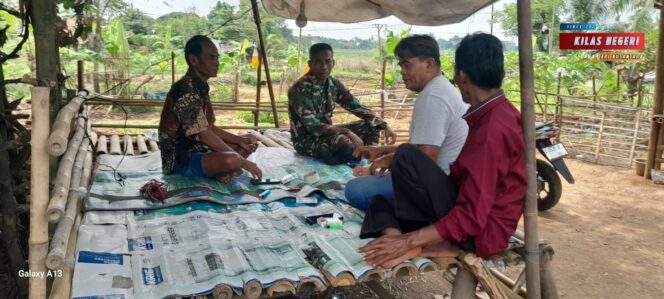 
Komsos Babinsa Dengan Warga, Pesan Jaga Kamtibmas Dan Kebersihan