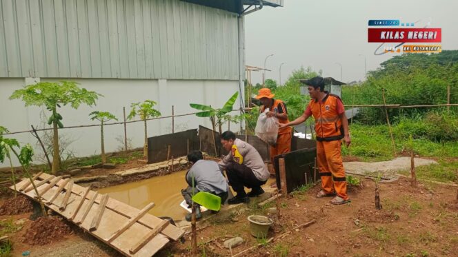 
Bhabinkamtibmas Cakung Timur Dorong Ketahanan Pangan, Tebar 500 Bibit Lele di Urban Farming JGC