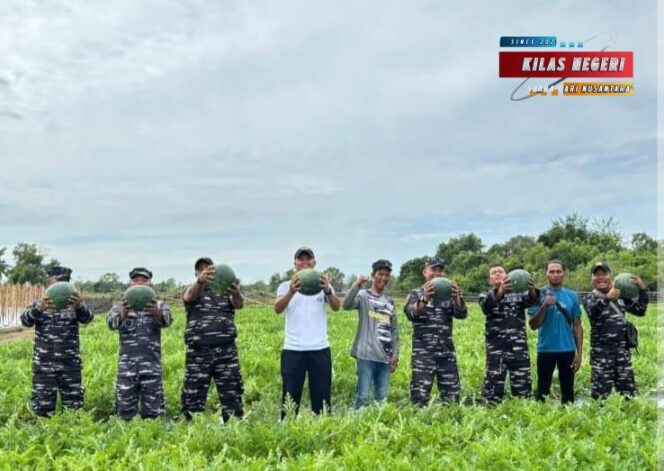 
Sinergi TNI AL dan Petani, Danlanal Bengkulu Pimpin Giat Penanaman dan Panen di Lahan Ketahanan Pangan