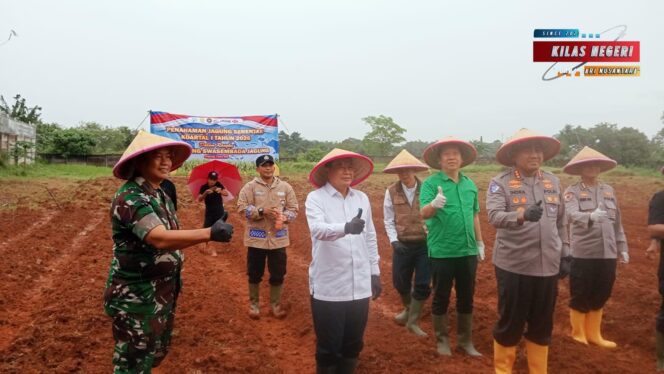 
Kodim 0510/Tigaraksa Dukung Ketahanan Pangan, Tanam Jagung Serentak di Panongan Bersama Forkopimda