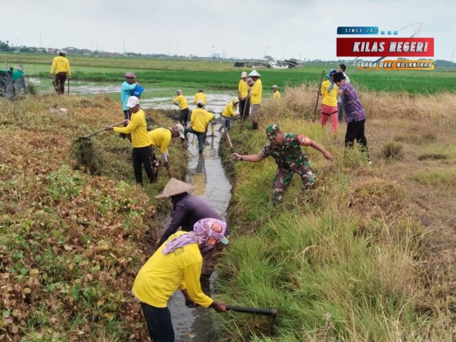 
Babinsa Koramil Mauk, Ikuti Program PKTD Bersihkan Saluran Irigasi